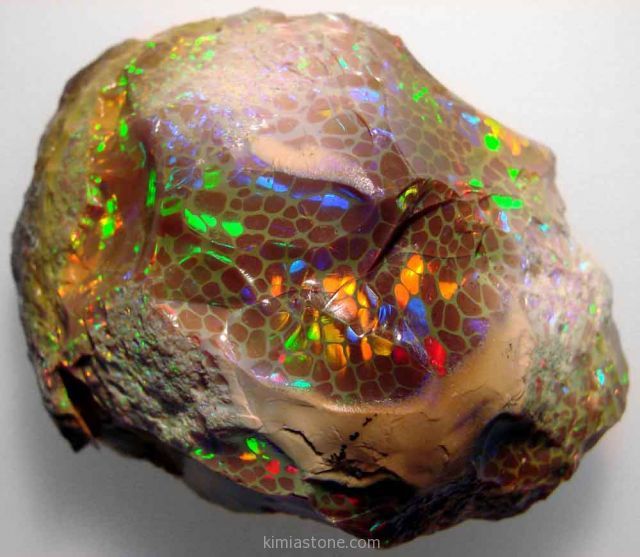 اپال استرالیا  Australia Opal 