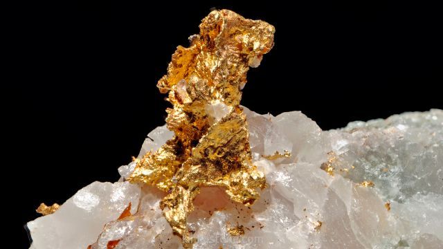 gold-طلا