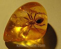 کهربا Amber