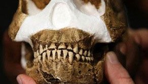 انسان نالدی