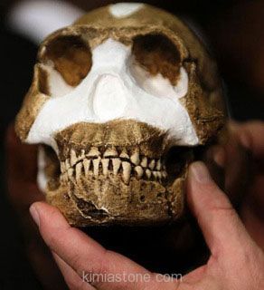 انسان نالدی