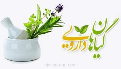 کارگاه آموزشی طراحی کسب و کار در گیاهان دارویی