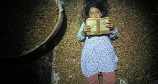 22 فیلم بخش اصلی جشنواره فجر