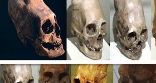 کشف یک جمجمه عجیب