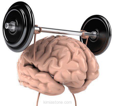 رابطه تغذیه و مغز