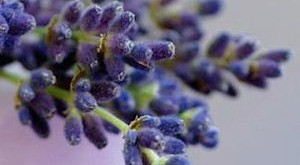 درمان سردرد