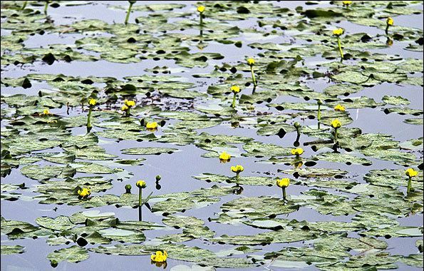 ایران بهشت گردشگری نوروزی