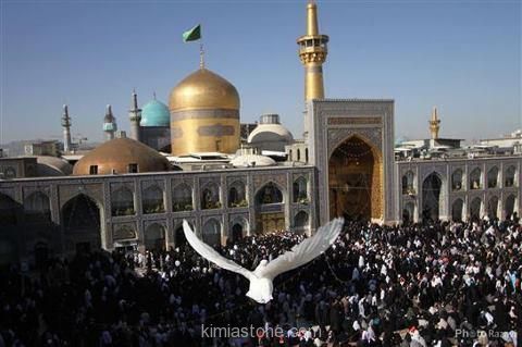 هزینه سفر به عتبات عالیات 10 تا 15 درصد در ماه رمضان کاهش می یابد