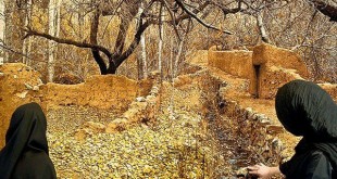 ارائه بهترین آثار هنری عکاسان کرمانشاهی در نمایشگاه عکس سال