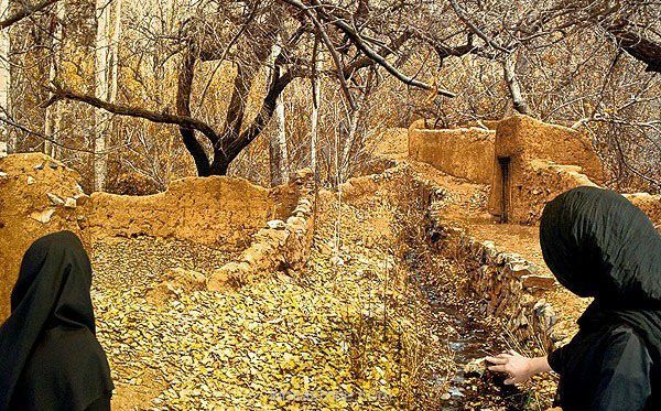 ارائه بهترین آثار هنری عکاسان کرمانشاهی در نمایشگاه عکس سال