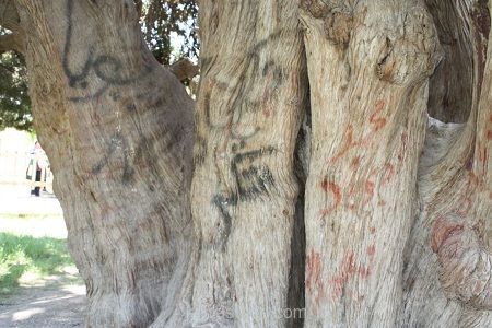عدم حس تعلق به میراث فرهنگی، عامل اصلی تخریب آن است