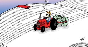 پدیده کتابسازی