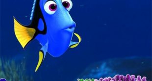 7 روش برای اینکه فراموش نکنید