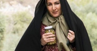 سریال دوردست