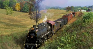 واگن بانوان