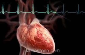 ده خوراکی برای پیشگیری از سکته قلبی