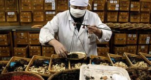 دستیاری طب سنتی در دانشگاه