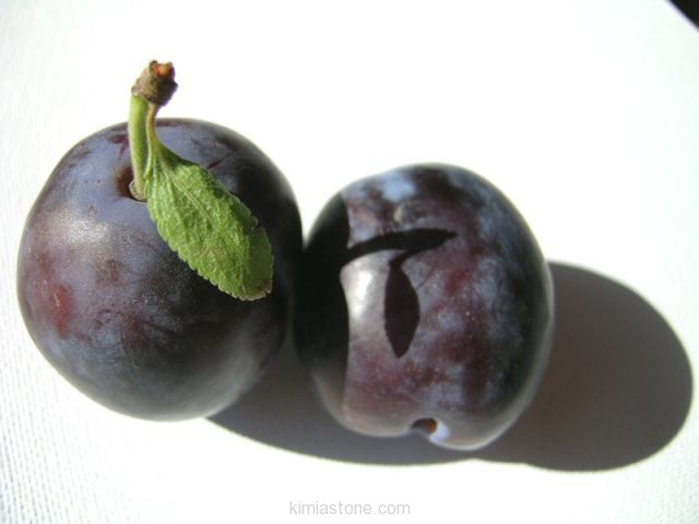 802130249223202193661571752291151382401514