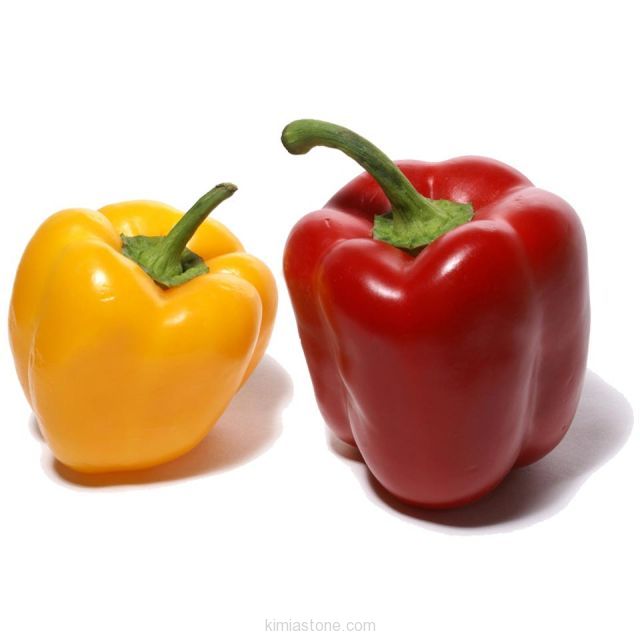 Capsicum