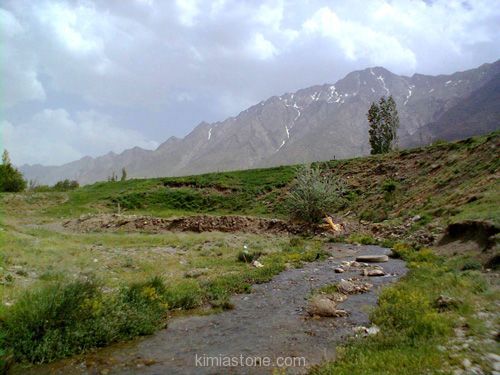 Photo0020