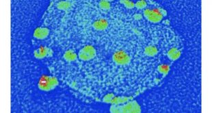 کشف نانو ذرات الماس