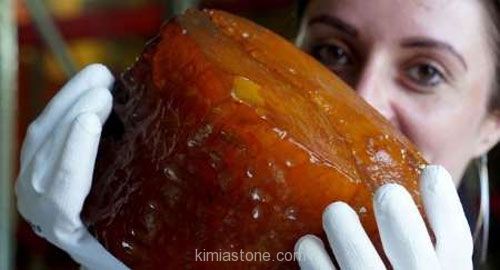 کشف کهربای بزرگی به قدمت 50 میلیون سال