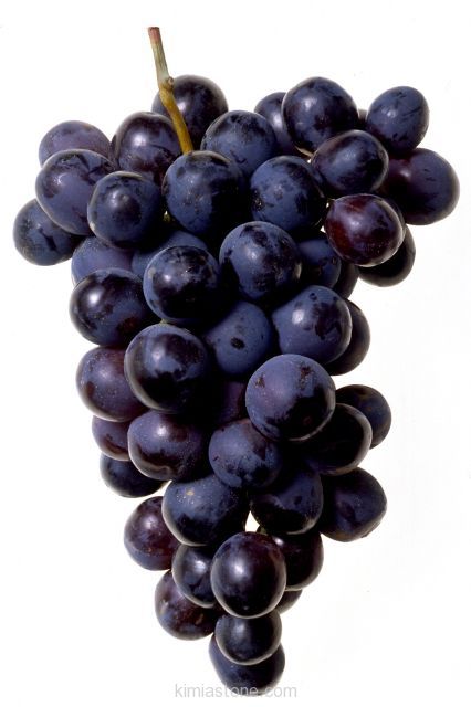 انگور انگور