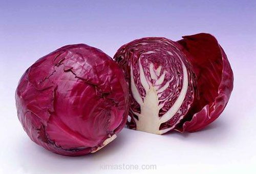Purple-cabbage-3