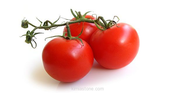 tomato-weare.ir_