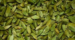 هل و خواص عجیبش