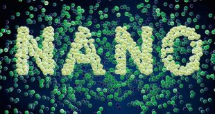 نمایشگاه نانو 95 در تهران