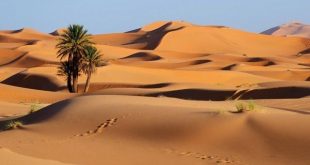 بهره برداری از اقامتگاه بوم گردی سرایان