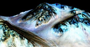 مهم ترین اکتشافات سال 2016