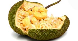 جک فروت جایگزین گوشت قرمز