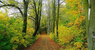 امنیت جاده‌‌ای در سفرهای نوروزی