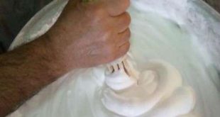 کف زنی ثبت ملی شد