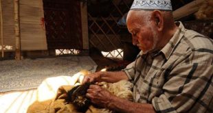 هنر پوستین دوزی