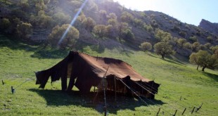 برپایی نمایشگاه ها و سیاه چادرهای صنایع دستی در ۵۰ نقطه کرمانشاه